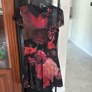 NWOT Ted Baker London dress Ted size 1 US size 4